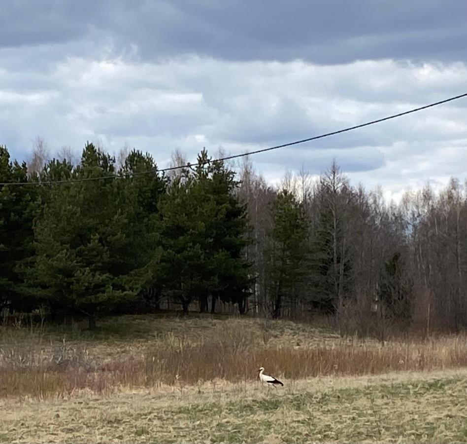 Siedlisko Maria Jablonowo Villa Exteriör bild